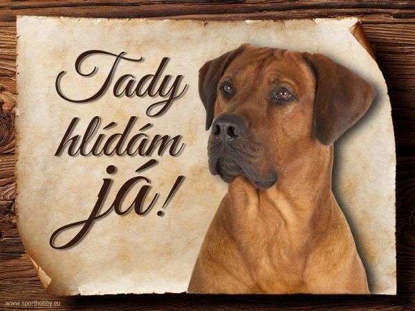 Cedulka Rhodéský ridgeback II - Tady hlídám já