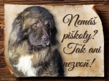 Cedulka Kavkazský pastevecký pes - Piškoty