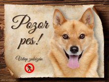 Cedulka Finský špic - Pozor pes zákaz