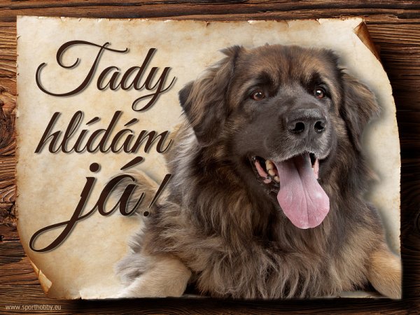 Cedulka Leonberger II - Tady hlídám já