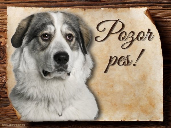 Cedulka Pyrenejský horský pes - Pozor pes