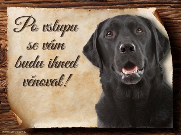 Cedulka Labrador retrívr - Po vstupu ...