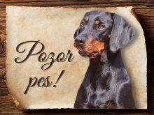 Cedulka Rakouský hladkosrstý brakýř - Pozor pes