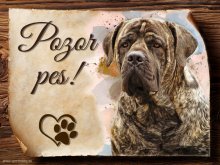 Cedulka Boerboel - Pozor pes