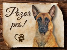 Cedulka Belgický ovčák Malinois - Pozor pes