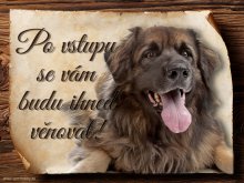 Cedulka Leonberger II - Po vstupu ...