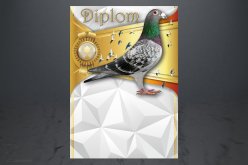 Diplom poštovní holub D148