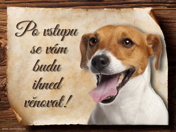 Cedulka Jack Russell teriér - Po vstupu ...