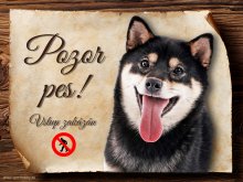 Cedulka Shiba-Inu II - Pozor pes zákaz