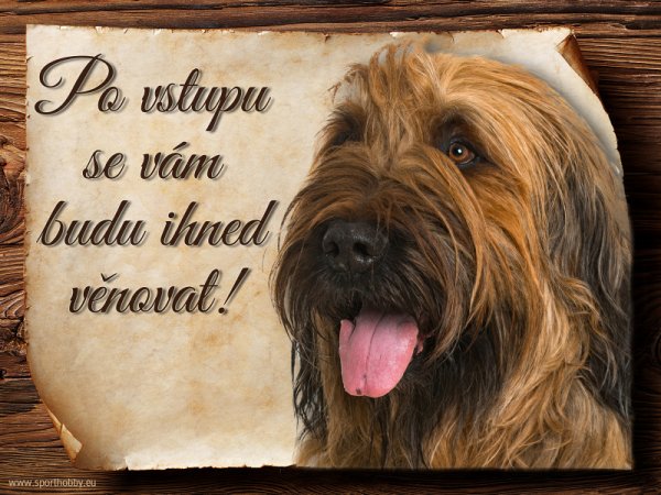 Cedulka Briard III - Po vstupu ...