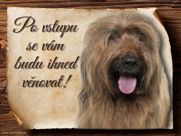 Cedulka Briard II - Po vstupu ...