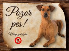 Cedulka Německý pinč - Pozor pes zákaz