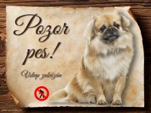 Cedulka Tibetský španěl - Pozor pes zákaz