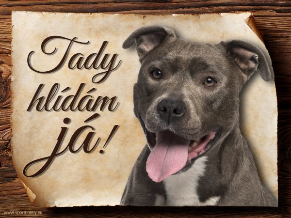 Cedulka Americký pitbulterier - Tady hlídám já!