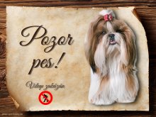 Cedulka Shih-tzu - Pozor pes zákaz