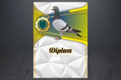 Diplom poštovní holub D169
