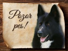 Cedulka Karelský medvědí pes II - Pozor pes