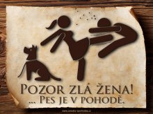 Vtipná cedulka - Pozor zlá žena! Pes je v pohodě IX