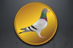 Emblém poštovní holub GL230