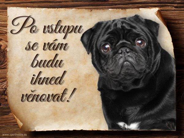 Cedulka Mops II - Po vstupu ...