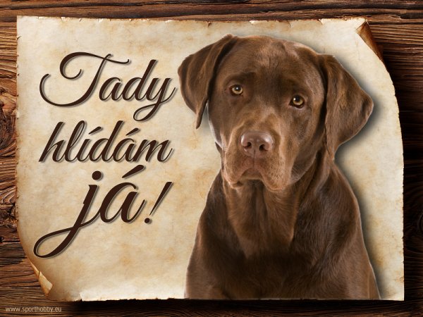 Cedulka Labrador retrívr - Tady hlídám já!