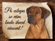 Cedulka Rhodéský ridgeback II - Po vstupu ...