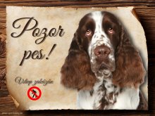 Cedulka Anglický špringeršpaněl - Pozor pes zákaz