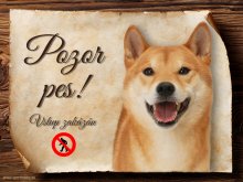 Cedulka Shiba-Inu - Pozor pes zákaz