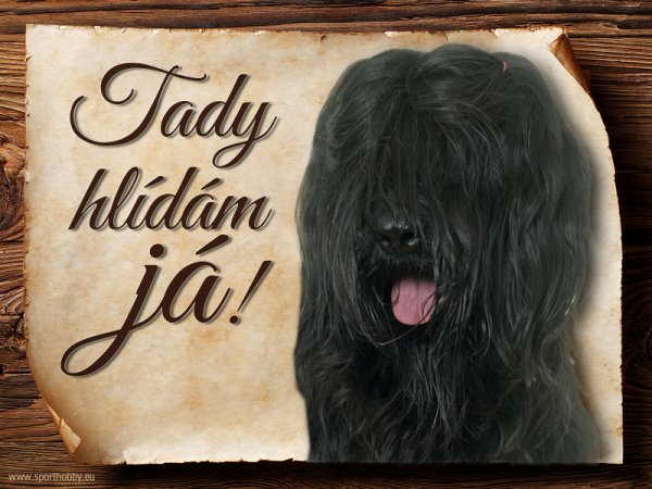 Cedulka Briard - Tady hlídám já