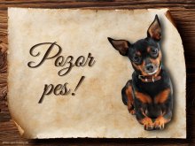 Cedulka Pražský krysařík - Pozor pes