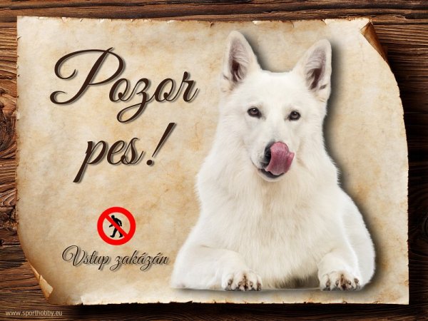 Cedulka Bílý švýcarský ovčák - Pozor pes zákaz