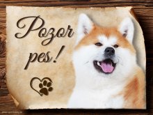 Cedulka Akita Inu - Pozor pes