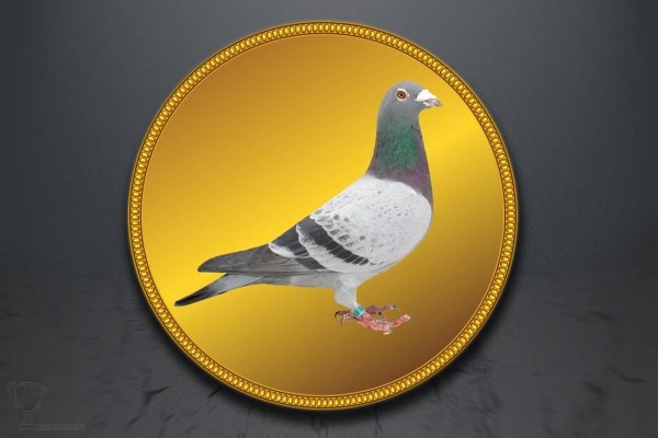 Emblém poštovní holub GL229