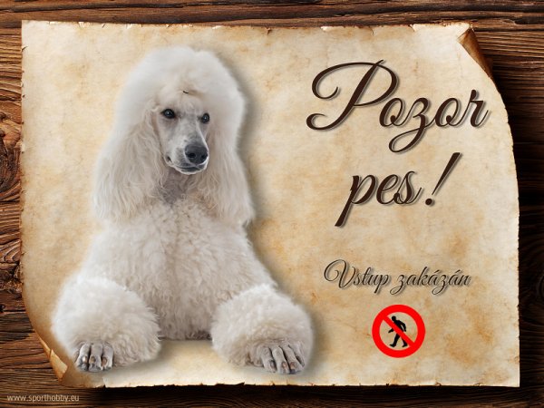 Cedulka Pudl - Pozor pes zákaz