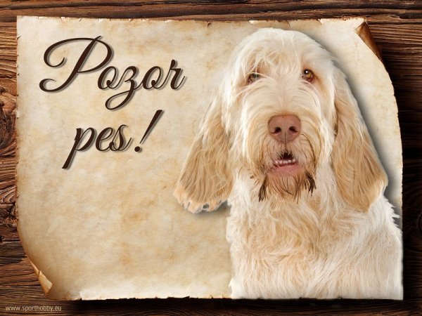 Cedulka Italský spinone - Pozor pes