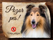 Cedulka Kolie - Pozor pes zákaz