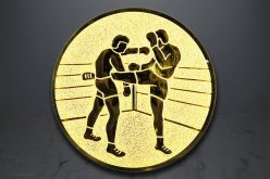 Emblém kickbox, zlato EM164