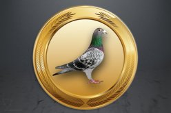 Emblém poštovní holub GL271
