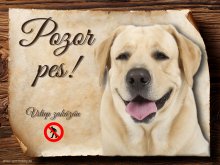 Cedulka Labrador retrívr - Pozor pes zákaz