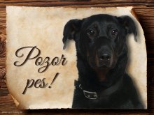 Cedulka Beauceron II - Pozor pes