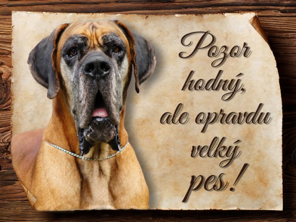 Cedulka Německá doga - Pozor hodný, ale ...