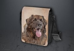 Taška Leonberger T072