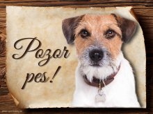 Cedulka Jack Russel Terier - Pozor pes