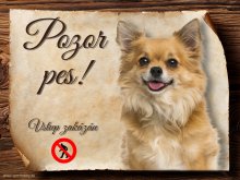 Cedulka Čivava VI - Pozor pes zákaz