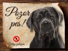 Cedulka Cane Corso - Pozor pes zákaz