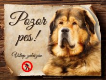 Cedulka Tibetská doga II - Pozor pes zákaz