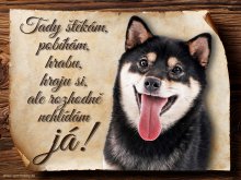 Cedulka Shiba-Inu II - Tady štěkám ...