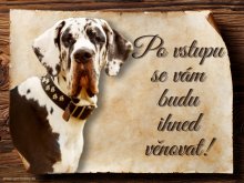 Cedulka Německá doga IV - Po vstupu ...