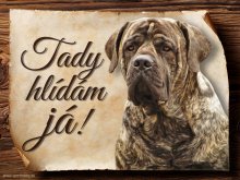 Cedulka Boerboel - Tady hlídám já