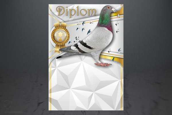 Diplom poštovní holub D146